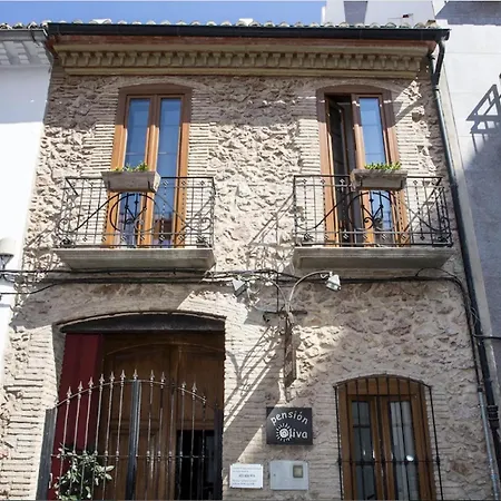 Mini-hôtel Hotelito Oliva